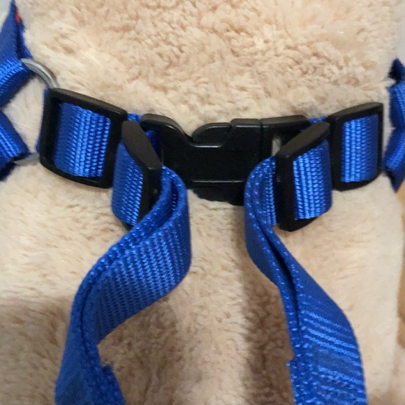 Dog Harness + Leash Set NEW NWT Blue Red Padded - Picture 7 of 13